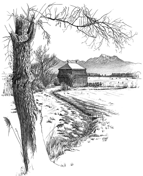 Chiemseeufer im Winter am Schafwaschener Winkel