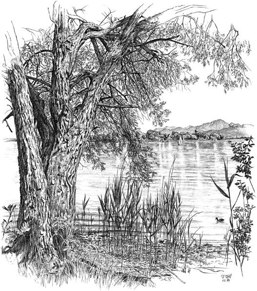 Chiemseeufer bei Gstadt mit der Fraueninsel im Hintergrund